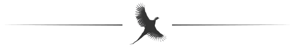 delimiter image