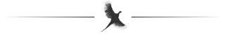 delimiter image